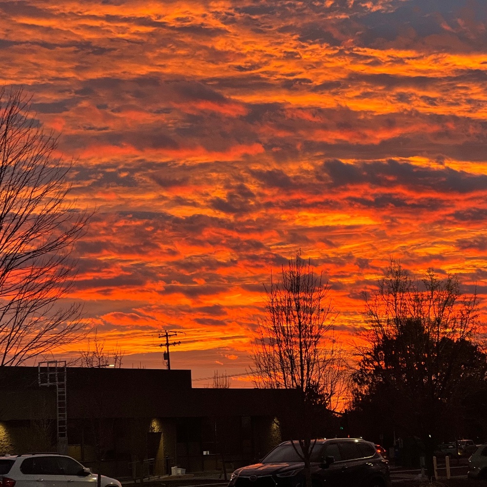 Meet your Posher, Gloria